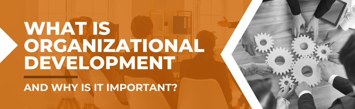  What Is Organizational Development and Why Is It Important?